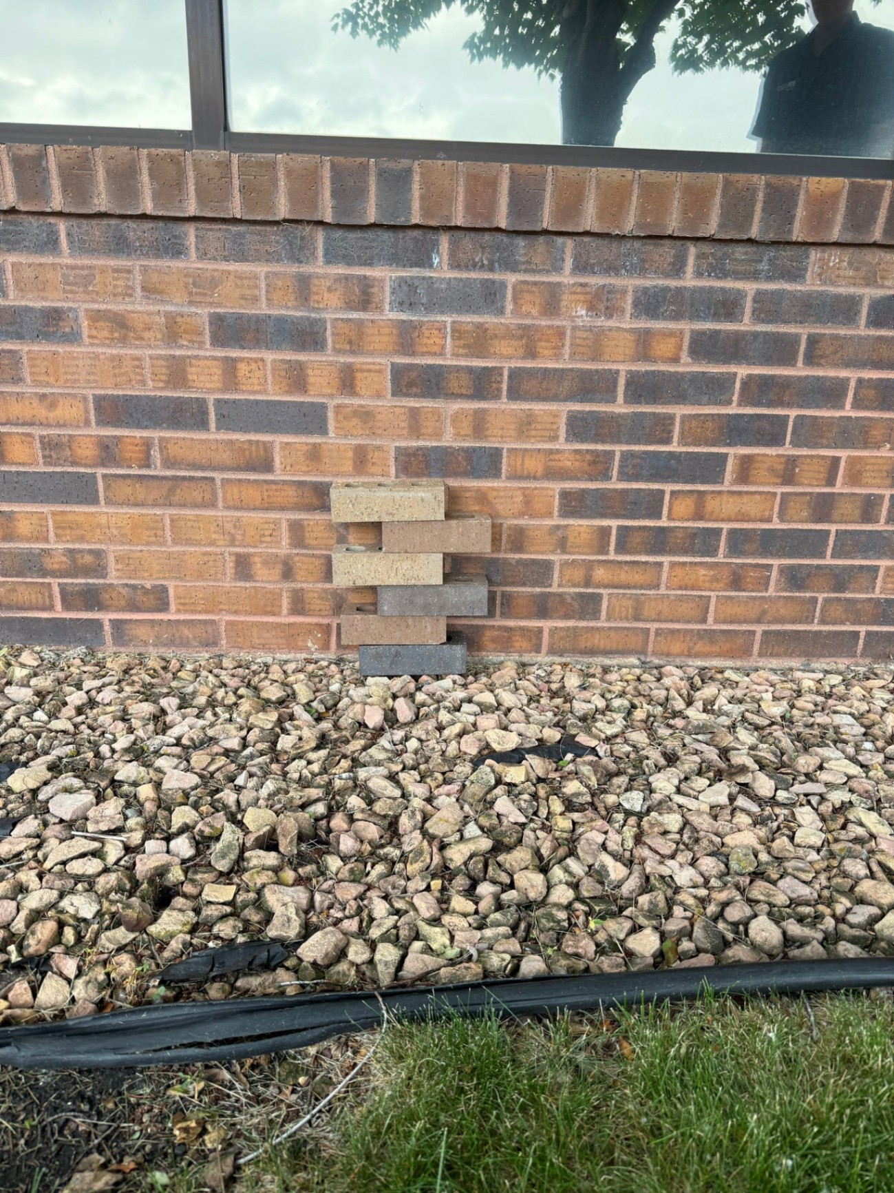 Color-matching brick samples held against an existing red brick wainscot wall to evaluate compatibility before restoration work